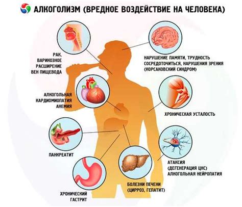 Вредные паразиты и их воздействие на здоровье пушистых друзей