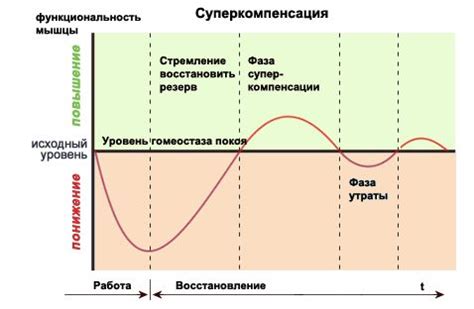 Временные рамки заживления и методы ускорения процесса восстановления