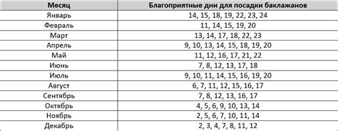 Время выдержки: оптимальные сроки и рекомендации