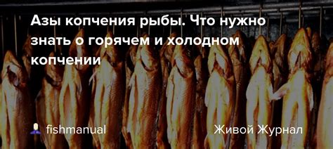 Время и затраты при традиционном и холодном способах копчения