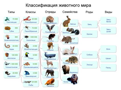 Время появления различных видов животных в мире Геншин