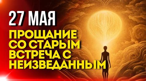 Встреча с неизведанным: феномен cvetocek7 во вселенной