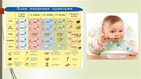 Выбор безопасного и полезного молочного десерта для заботливой мамы при грудном вскармливании