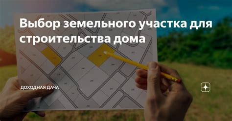 Выбор земельного участка для аренды: с чего начать