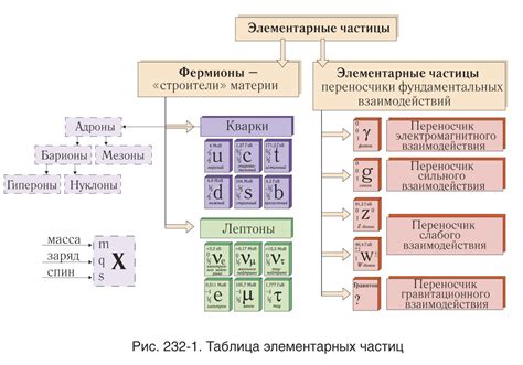 Выбор местоположения для устройства для исследования элементарных частиц: факторы и критерии