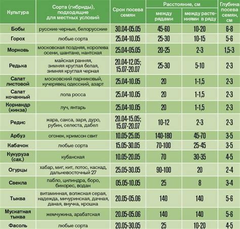 Выбор метода выращивания для получения урожая овощей в зимнее время