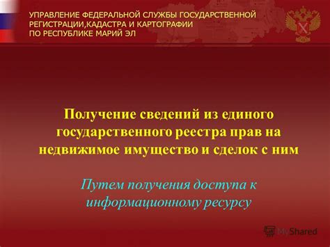 Выбор надежной организации для получения сведений из Единого государственного реестра прав на недвижимое имущество о квартире