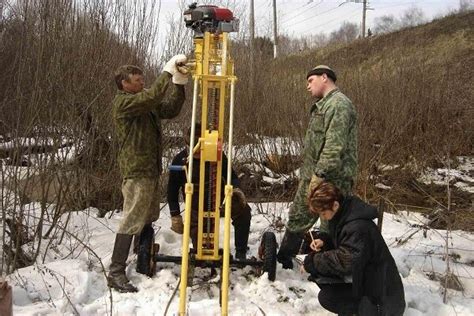 Выбор оптимального местоположения для размещения входных ворот в уютном пространстве с деревьями