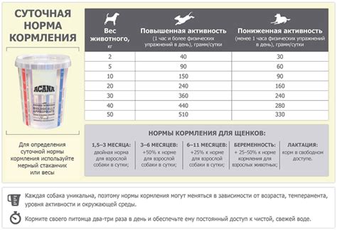 Выбор питания для собаки: важность сбалансированного рациона