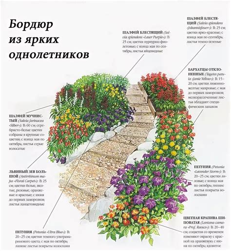 Выбор правильного места для посадки цветов