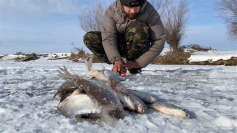 Выбор удовлетворительных водоемов для введения густеры рыбы в новые регионы