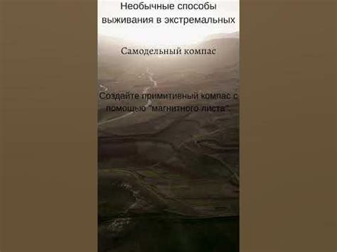 Выживание в экстремальных холодах: необычные истории мужества