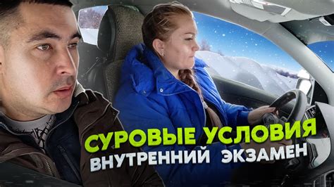 Выживание енота в суровые зимние условия: основные тактики и стратегии