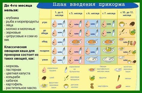 Выпускники: можно ли начинать прикорм в 4 месяца