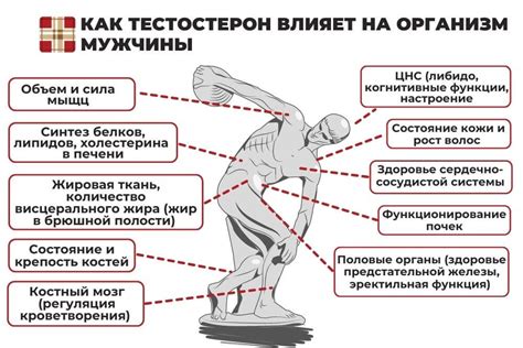 Высокий уровень гормона ГГТП у мужчин: причины и последствия