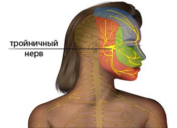 Выявление воспалительных проявлений в нерве лица