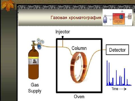 Газовая хроматография: аккуратный способ распознавания состояния жирных веществ