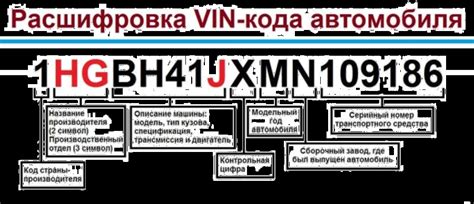 Где искать и как расшифровать код краски: секреты и подсказки