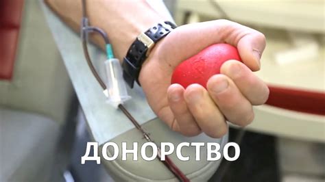 Где можно совершить донорство для выявления типа гемогруппы