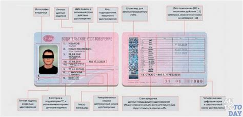 Где найти информацию о выдаче прав и их актуальности: полезные подсказки для автомобилистов