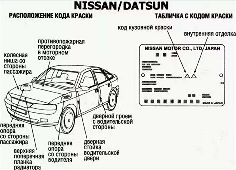 Где найти и как определить идентификационный код автомобиля