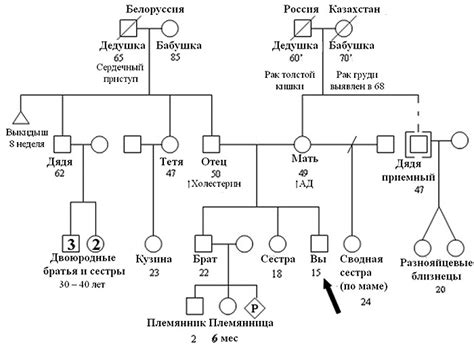 Генеалогическое исследование и анализ семейных документов