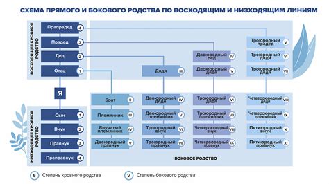 Генетическая связь и разнообразие родственных связей