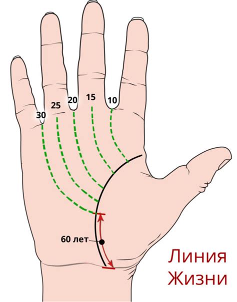 Генетические аспекты отсутствия линии жизни на кисти руки