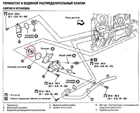 Географическое положение сенсора системы управления клапаном двигателя Ниссан Икстрейл Т30