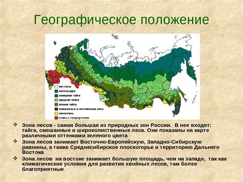 Географическое расположение Буковеля: исследование природных преобладающих элементов
