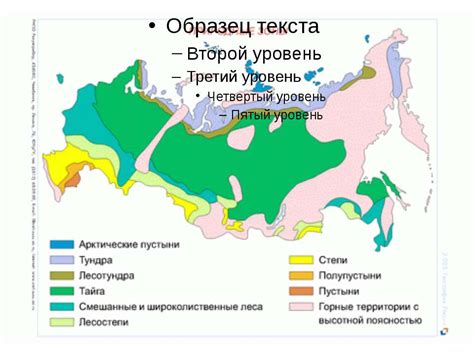 Географическое расположение загадочной поселения величественных и вековых лесов