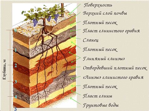 Геологические особенности Куршевеля: дюны и амбары