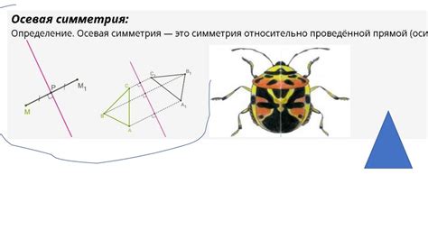 Геометрическое преобразование, которое меняет размер и форму окружности