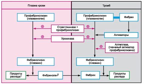 Гепарин: механизм действия