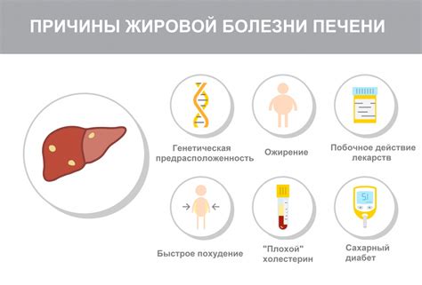 Гепатостеатоз печени: факторы риска и диагностика