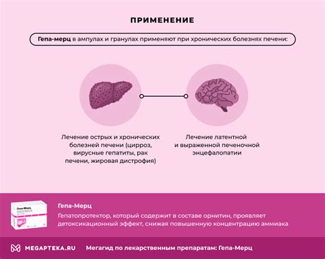 Гепа Мерц и Гептрал: обзор существующих исследований