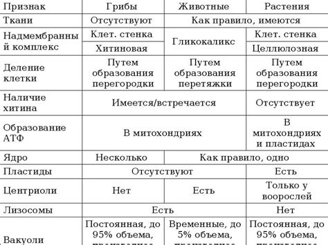 Герпес и гепатит C: сходства и различия