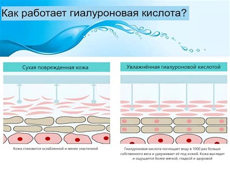 Гиалурон в таблетках: как это работает?