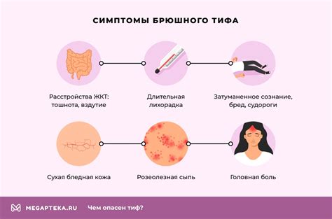 Гигиена как основной инструмент в предотвращении брюшного тифа