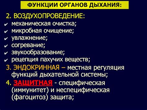 Гидратация, очищение и поддержка функций органов