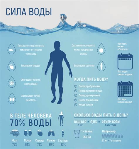 Гидрация организма: вода как значимый компонент здоровой рациональной питательности