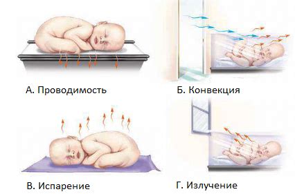 Гипотермия у новорожденных