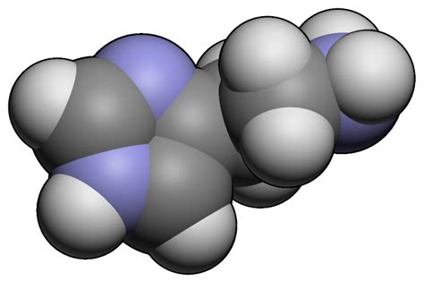 Гистамин: основы и свойства