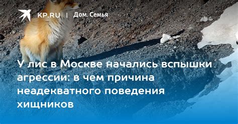 Главная причина самопитания у хищников