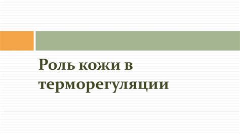 Гланды потовые: роль и значение в регуляции температуры организма