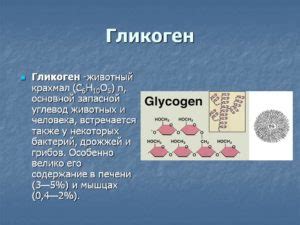 Гликоген: важный запас энергии для организмов