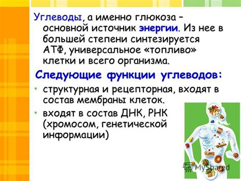 Глюкоза как основной источник энергии для клеток: общее представление