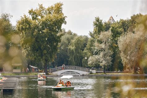 Голицынский парк: наслаждайтесь природой, собирая грибы среди ухоженных аллей и прудов