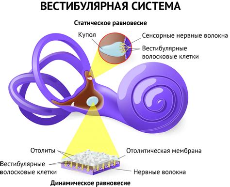 Головокружение: основные причины и симптомы