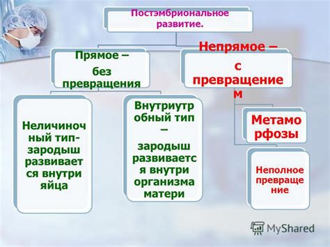 Гормональные превращения: метаморфозы внутри организма